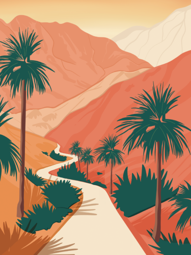 colorado illustration pop californie