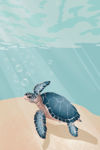 poster illustration