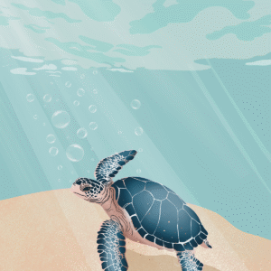 Illustration minimaliste d’un moment d’été calme